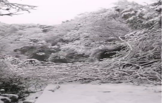 战暴雪、保供电！九游官方网站-九游jiuyou(中国)
发展鸟儿巢公司应对极端天气紧急抢修失电故障