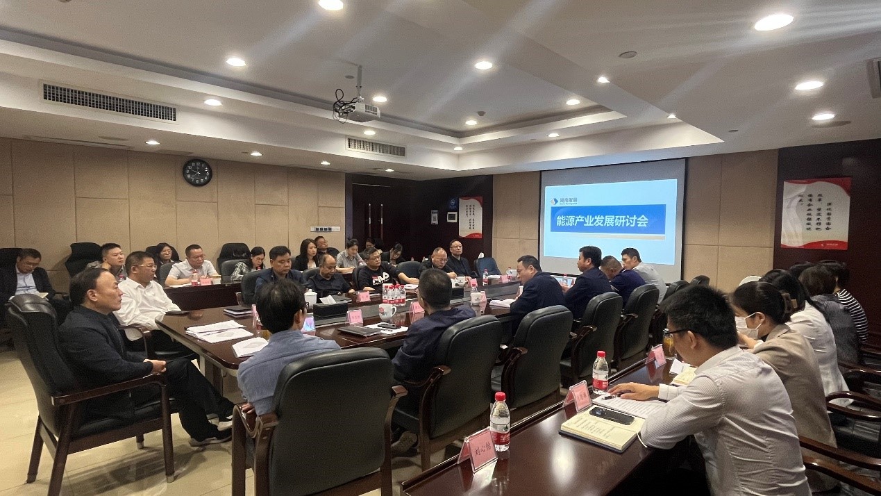 九游官方网站-九游jiuyou(中国)
发展召开能源产业发展研讨会